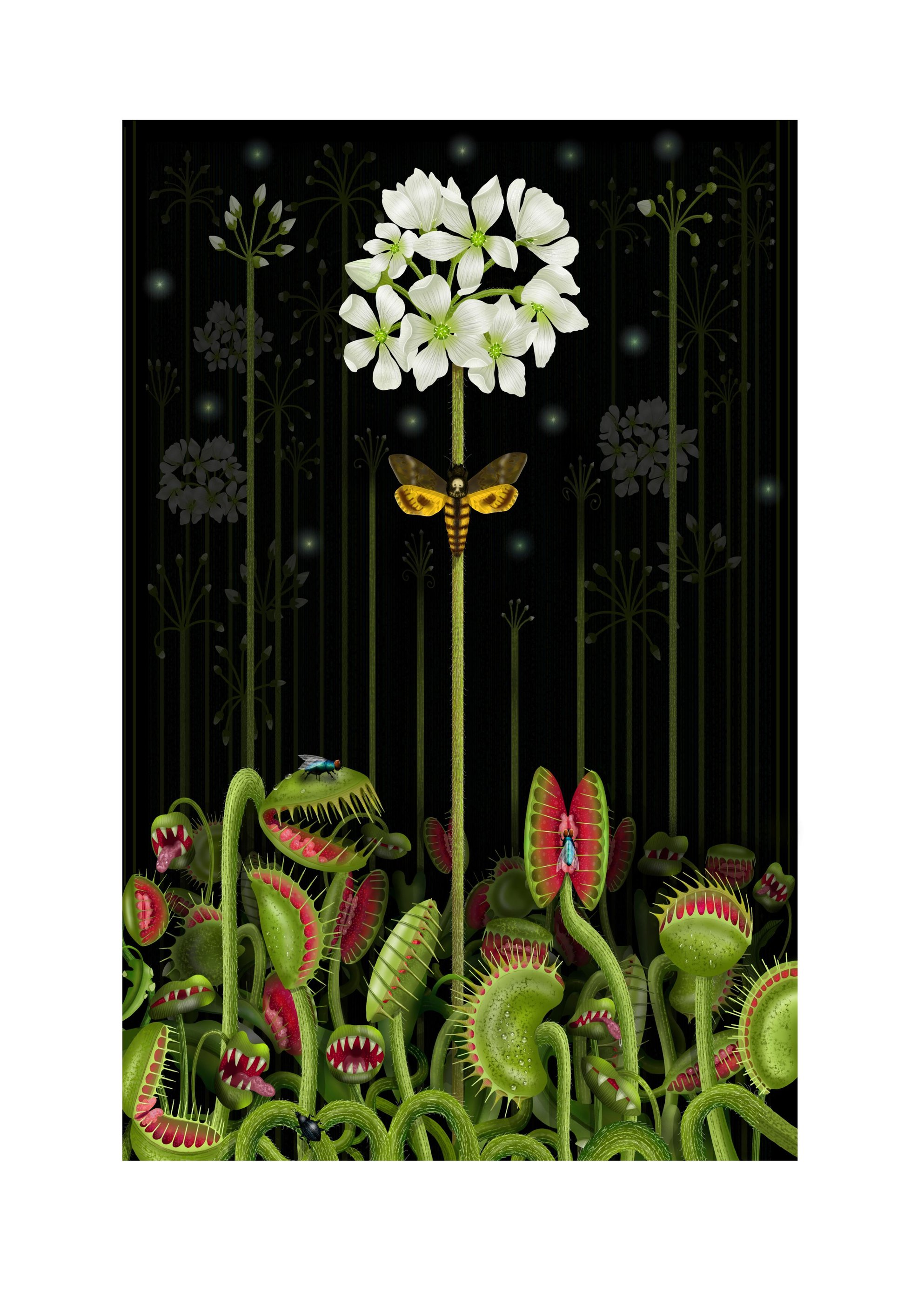 Beauty and Truth, Truth and Beauty